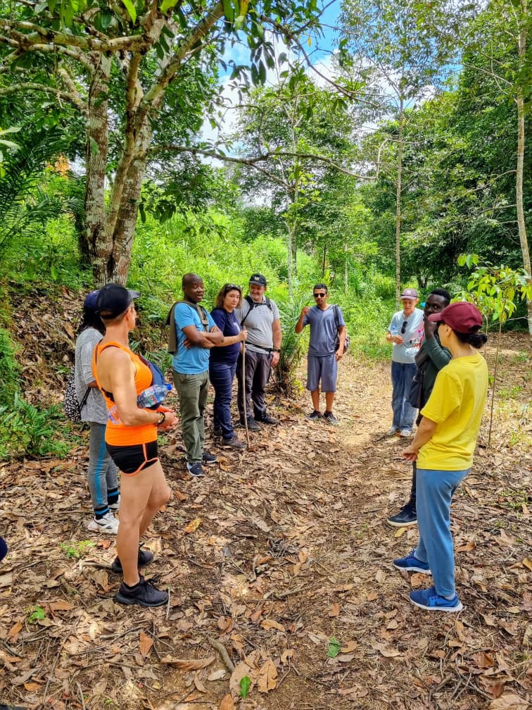 Team building au naturel